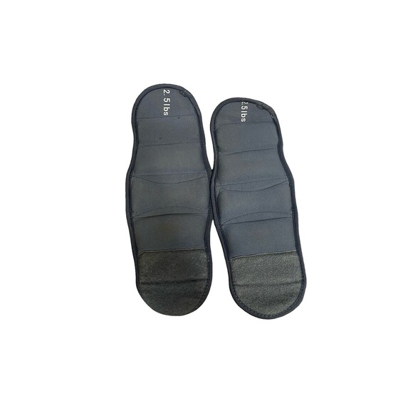 2.5 Lb Empower Ankle Wrist Weight Gray and Blue - Picture 2 of 4